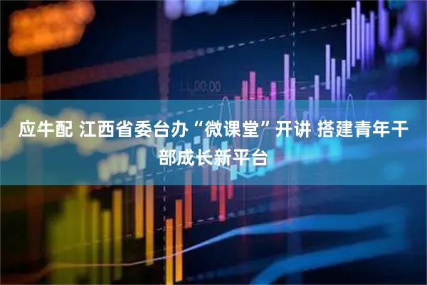 应牛配 江西省委台办“微课堂”开讲 搭建青年干部成长新平台