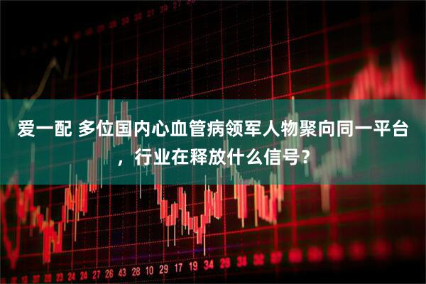 爱一配 多位国内心血管病领军人物聚向同一平台，行业在释放什么信号？