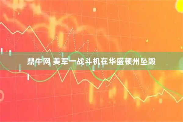 鼎牛网 美军一战斗机在华盛顿州坠毁