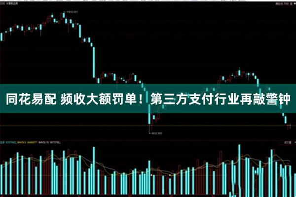 同花易配 频收大额罚单！第三方支付行业再敲警钟