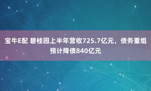 宝牛E配 碧桂园上半年营收725.7亿元，债务重组预计降债840亿元