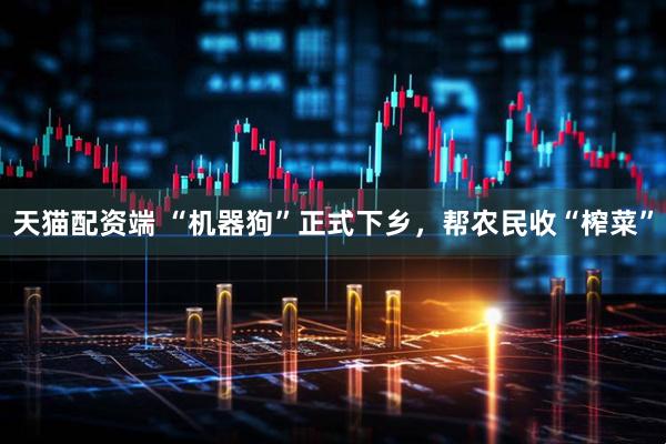 天猫配资端 “机器狗”正式下乡，帮农民收“榨菜”
