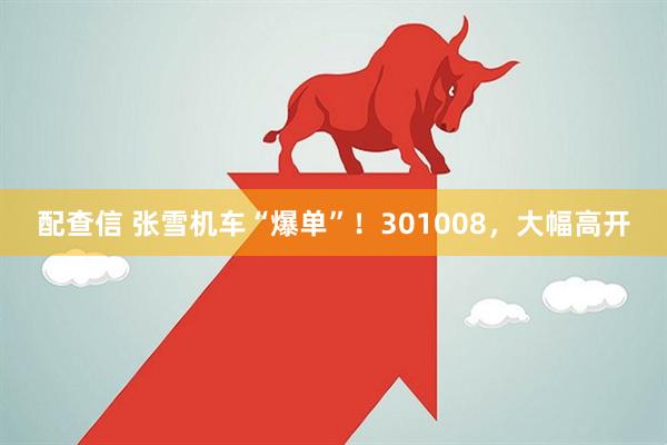 配查信 张雪机车“爆单”！301008，大幅高开