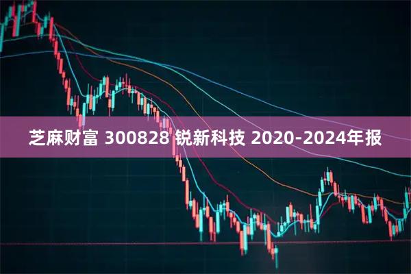 芝麻财富 300828 锐新科技 2020-2024年报