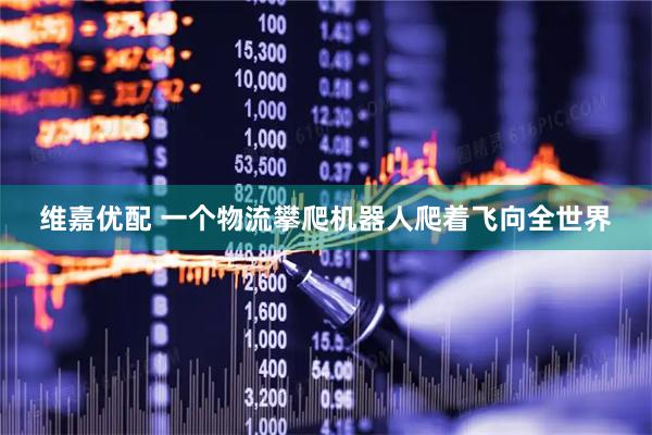 维嘉优配 一个物流攀爬机器人爬着飞向全世界