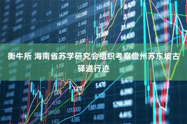 衡牛所 海南省苏学研究会组织考察儋州苏东坡古驿道行迹