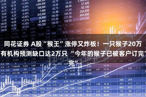 同花证券 A股“猴王”涨停又炸板！一只猴子20万 有机构预测缺口达2万只 “今年的猴子已被客户订完”