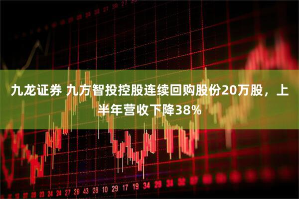 九龙证券 九方智投控股连续回购股份20万股，上半年营收下降38%